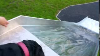 Doggy slides