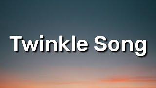 Miley Cyrus - Twinkle Song (Lyrics) "What does it mean" [Tiktok Song]