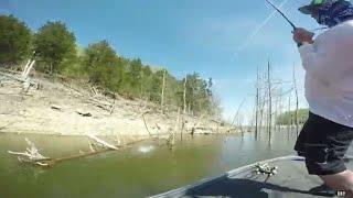 Bass Fishing on Truman Lake