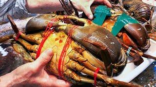 Japanese Street Food - GIANT MUD CRABS Cooked Two Ways Okinawa Seafood Japan