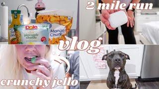 DAILY VLOG - down 11 pounds, trying viral crunchy jello & more! | Paige Koren