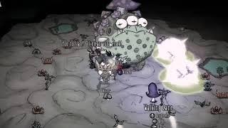 Don't Starve Together Toadstool Fight