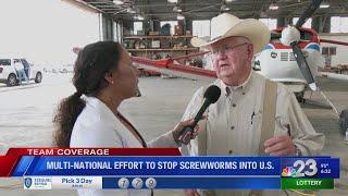 Multi-National Effort to Stop Screwworms into U.S