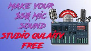 Make Your $50 Tin Can Mic Sound Studio Grade! | Voicemeeter Settings