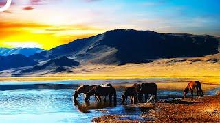 The Mysterious Lands Of Genghis Khan: Mongolia | Miracles Of Nature