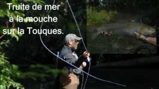 Pêche à la mouche Truite de mer (14)