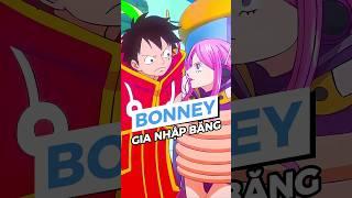 Liệu Bonney có gia nhập băng Mũ Rơm? #shorts #anime #onepiece #luffy #bonney