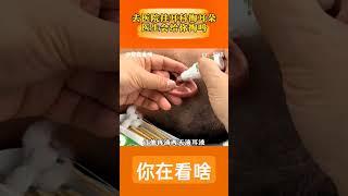 去医院挂耳科掏耳朵医生会给你掏吗？ #医院 #耳朵 #滴耳液 #生理盐水 #听力