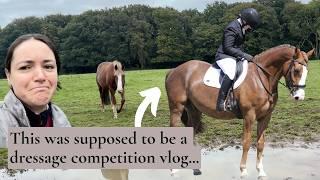 This was supposed to be a Dressage competition vlog... One year with Harley | Riding With Rhi