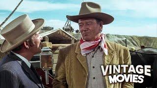 A Gunslinger tries to keep the Peace in his Territory | Western Movie | Vintage Movies