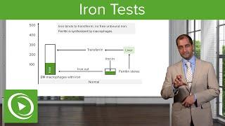 Normal Iron Study Labs: Iron Tests – Hematology | Lecturio