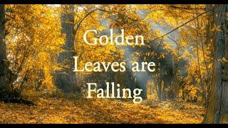 Golden Leaves are Falling