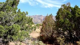 The ABQ Cult Project