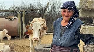 Caucasian Tradition: Tandoori Bread Recipe from the Heart of the Village