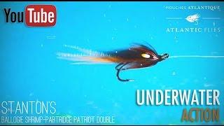 Stanton's Ballogie Shrimp Partridge Patriot Double