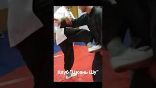 #martialarts #kungfu #shorts