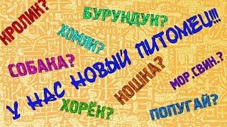 У нас новый питомец!!!!!!!!!!!!!!!!!!!!!!!!!!