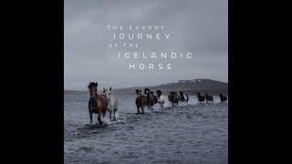 THE EXPORT JOURNEY OF THE ICELANDIC HORSE