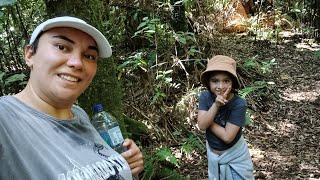 Hiking Mount Ngongotaha, Rotorua NZ