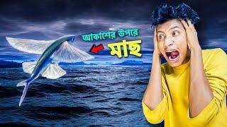 I Became Flying Fish - I am Fish Part 6 || The Bangla Gamer