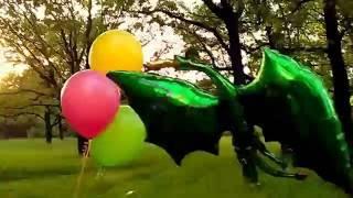 Воздушный дракон/Balloon of dragon