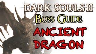 Dark Souls 2 Boss Guide: Ancient Dragon