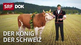 Der König der Schweiz – Vom Schwingen und seinen Helden | Doku | SRF Dok