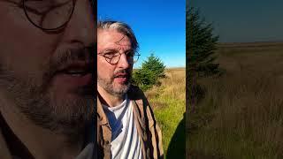 Flow Country - Far North food forest. Our shared home. #trees #wind #scotland #garden