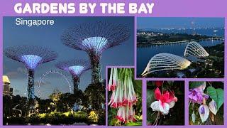 Gardens by the Bay