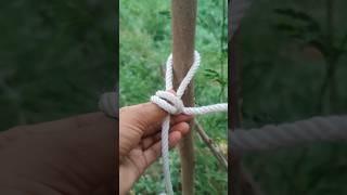 Loop Knot Around The Object #rope #loopknot