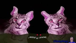 Preview 2 Meow Mix Commercial Effects (Preview 2 5x30/5Min Day Effects)