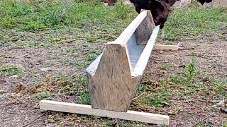 Zero Waste Chicken Feeder (Why There Is No Feeds Spillages)