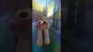 Люблю тебя Сезим 