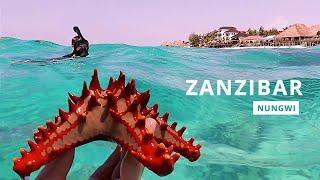 Zanzibar,  Nungwi 2021 | Snorkeling and Walking