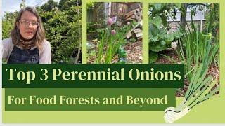 Top 3 Perennial Onions for Food Forests and Resilient Gardens