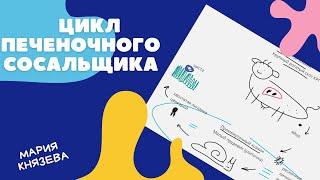 ЦИКЛ ПЕЧЕНОЧНОГО СОСАЛЬЩИКА. ЕГЭ по БИОЛОГИИ