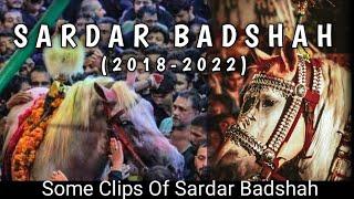 Sardar Badshah  (2018-2022) | Nwabi Zuljanah Sardar Badshah