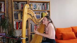 All the Pretty Little Horses (Jazz style!) - Celtic lever harp solo