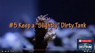 Top 10 Tips For Keeping a SPS Reef Tank