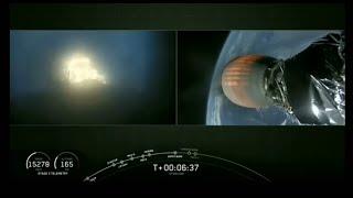 Another SpaceX Rocket Rat 