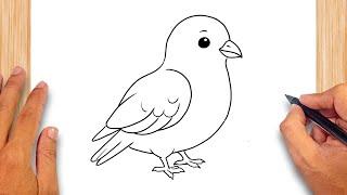 How to draw Cute Pigeon