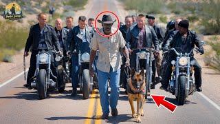 RACIST Bikers ATTACK a Black Veteran, Not Knowing His Dog Is a MILITARY HERO...