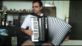 Lambada - Akkordeon/Accordion Cover