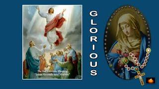 ROSARY: GLORIOUS MYSTERY: WED & SUN (PLAIN BACKGROUND)