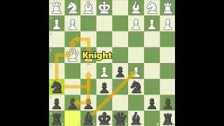 Bobby's Most Tactical Chess Games Compilation