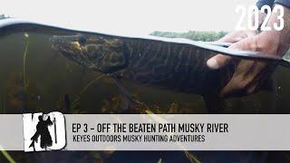 Off the Beaten Path Musky River - Keyes Outdoors Musky Hunting Adventures