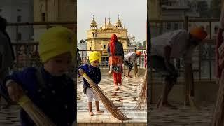 shri harmandir sahib new video @Astromit @Amar-7000 #youtube #shorts #funny #punjabi