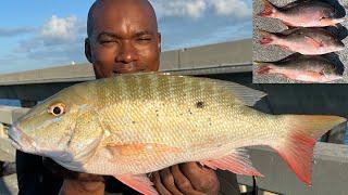 FLIPPED 3 KEEPER Mutton SNAPPER! (FL Keys Bridge Fishing)