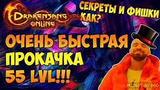 (ГАЙД) Быстрая прокачка до 55 уровня → Drakensang Online