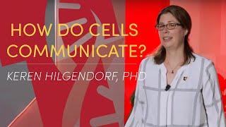 Vitae 2024: Keren Hilgendorf--How Do Cells Communicate?